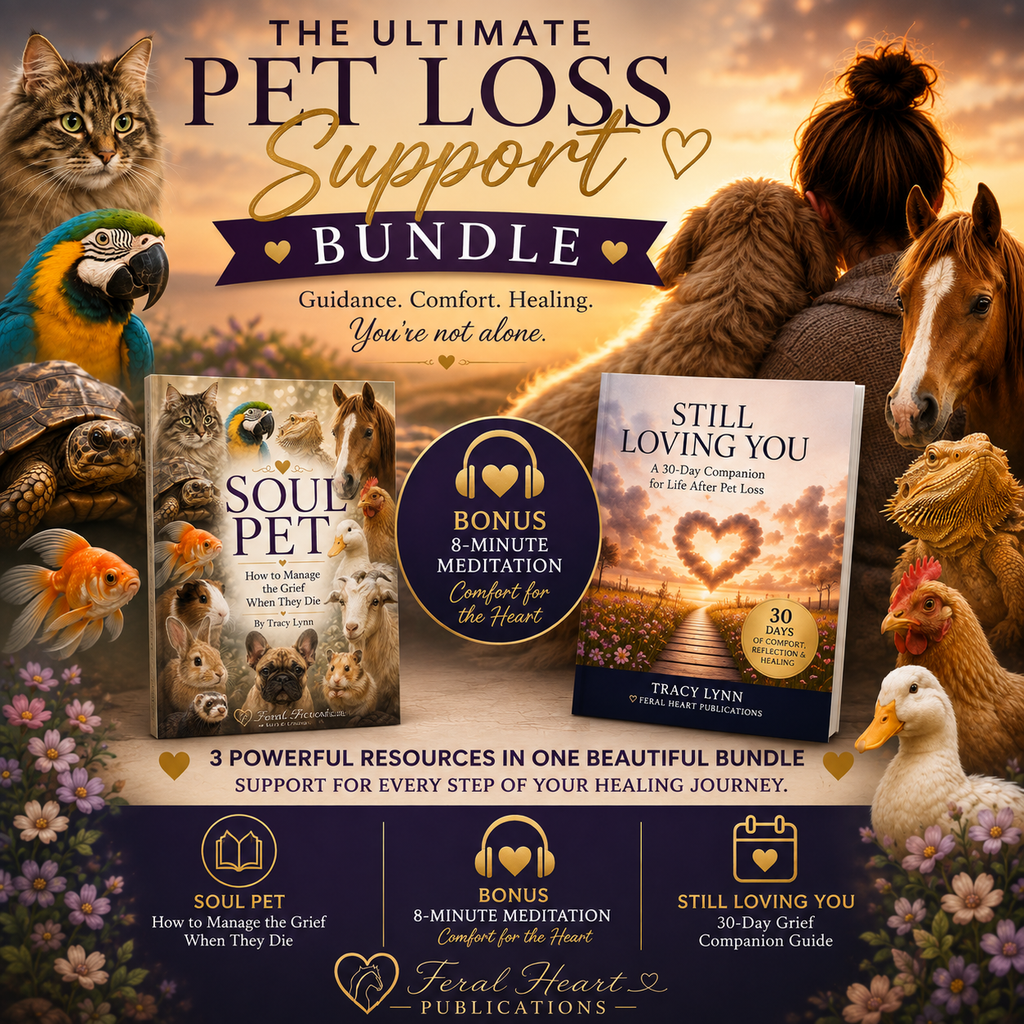 Ultimate pet loss support bundle with two grief guides and comfort audio