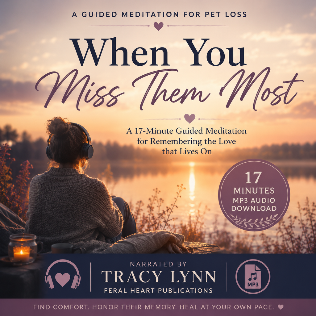 17-minute guided pet loss meditation for grieving pet owners