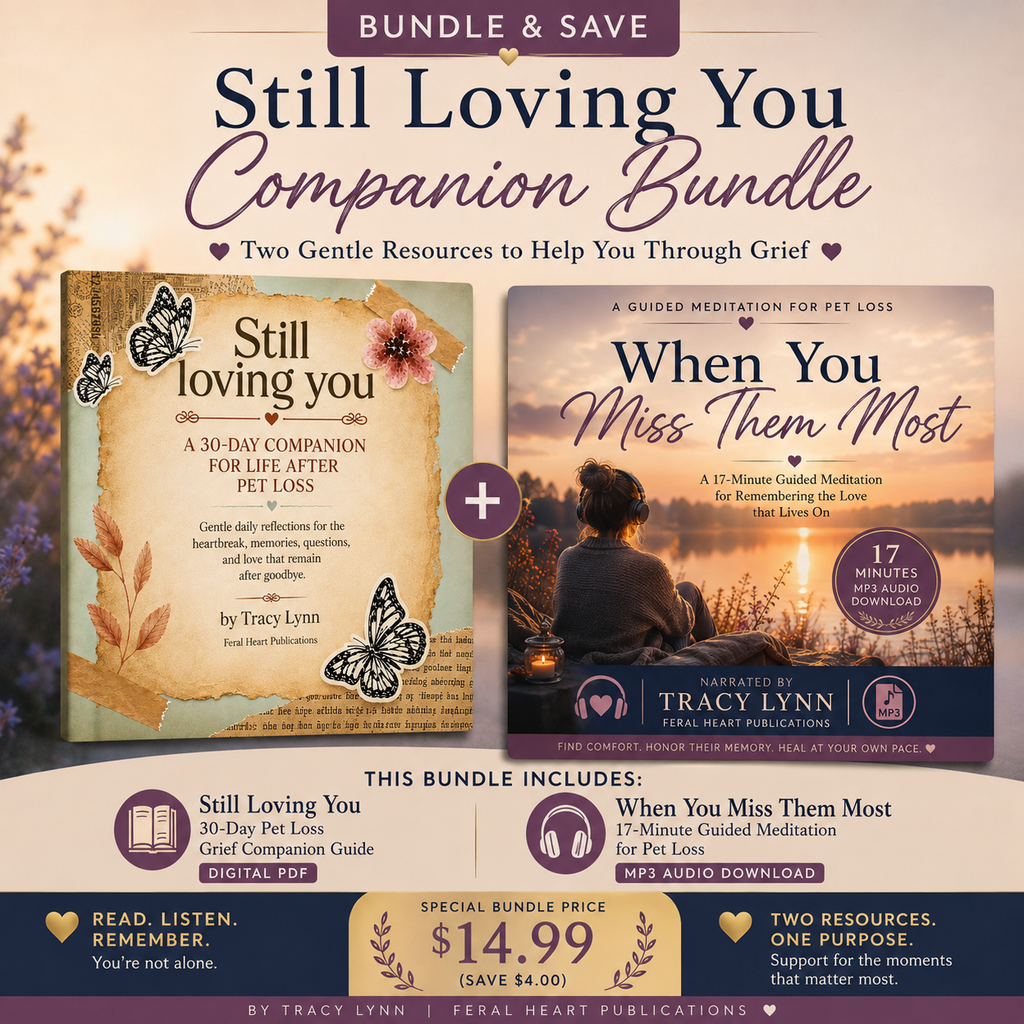 Still Loving You 30-day pet loss grief companion guide