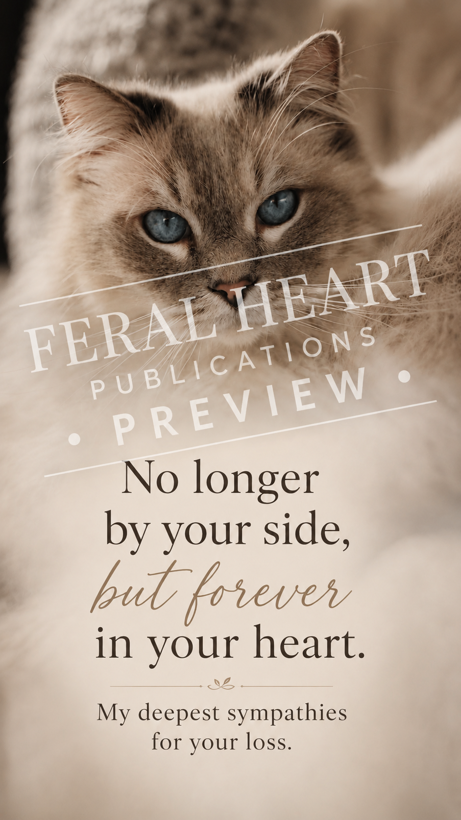 Cat loss sympathy card for someone grieving a beloved cat